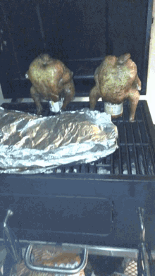 Chicken Beer GIF - Chicken Beer Cook Out GIFs
