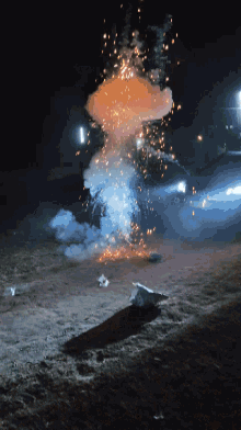 Crackers Fire Crackers GIF