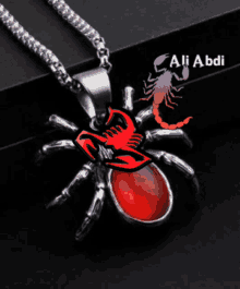 a necklace with a scorpion on it and the name ali abdi