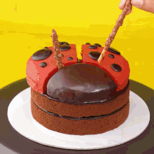 a ladybug cake with red frosting and black spots