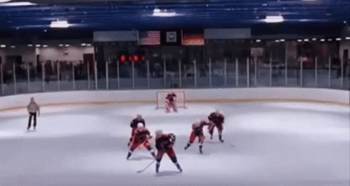 D2-the-mighty-ducks GIFs - Get the best GIF on GIPHY