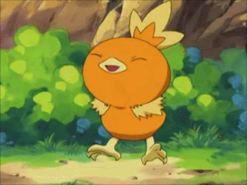 Pokemon Funny GIF – Pokemon Funny Torchic – GIFs entdecken und teilen