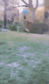 Dog Dog Swinging GIF - Dog Dog Swinging Dog Swinging By Rope GIFs