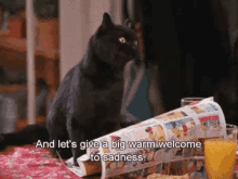 Salem Sadness GIF - Salem Sadness Cat GIFs