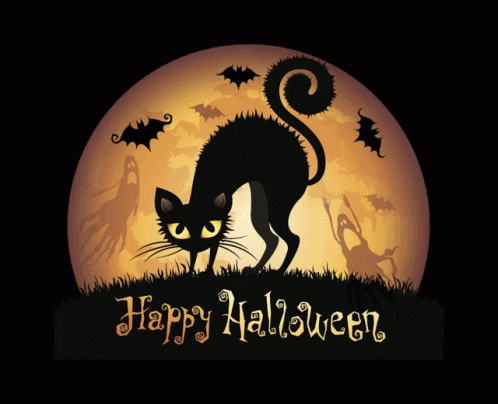 Beautiful Black Cat halloween decorations
