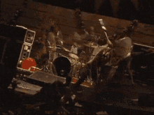 Red Hot Chili Peppers Flea Bassist GIF - Red Hot Chili Peppers Flea Bassist Flea Destruction GIFs