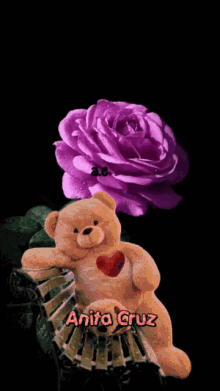 a teddy bear holding a heart next to a purple rose with the name anita cruz