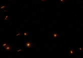 a circle of flames with the word flanol in the middle