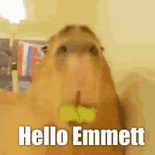 Emmett GIF - Emmett GIFs