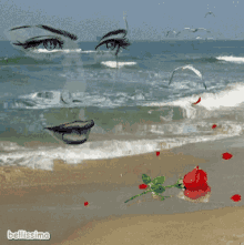 an animated image of a woman 's face and a rose on a beach