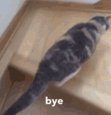 Cat Bye GIF