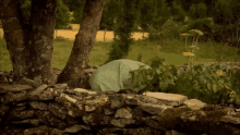 a person laying under a tree in a field