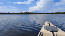 a kayak is floating on a lake with trees in the distance