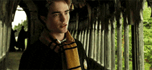 Cedric Diggory Harry Potter GIF - Cedric Diggory Harry Potter Hp GIFs