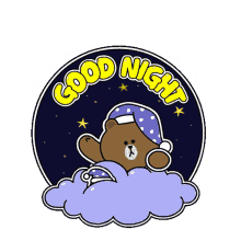 brown night sleep cony bear