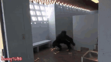 Gorilla Bathroom Prank GIF - Urinal Pranks Scare GIFs