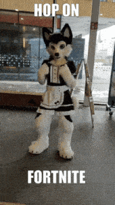 a husky mascot dressed as a maid is standing in front of a window with the words hop on fortnite below him