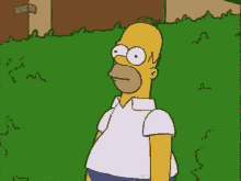 homer simpson from the simpsons is standing in the grass looking at the camera .