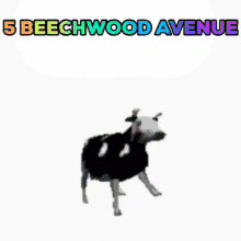5beechwood Avenue GIF - 5beechwood Avenue GIFs