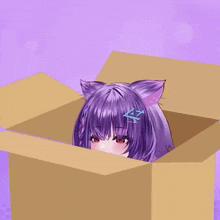 a girl with purple hair and cat ears is sitting in a cardboard box .