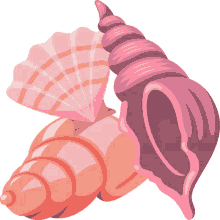 seashell summer fun joypixels shell colorful shell