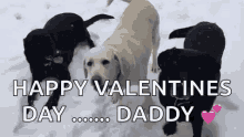 Happy Valentines Day Daddy Dogs GIF - Happy Valentines Day Daddy Dogs Pets GIFs