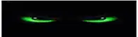 a pair of green glowing eyes on a black background .