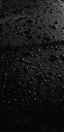 a black background with a lot of small dots on it