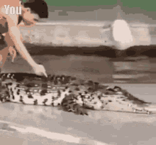 Alligator Slap GIF - Alligator Gator Slap GIFs