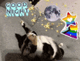 a calico cat is laying on its back on a couch with the words good night above it
