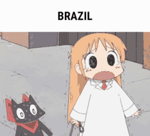 Brazil Hanky Cat GIF - Brazil Hanky Cat Scared GIFs