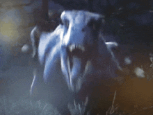 a close up of a horse 's skull in the grass