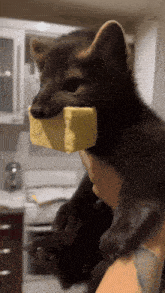 a person is holding a small furry animal with a piece of butter in its mouth