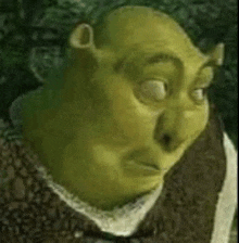 Meme Shrek GIF - Meme Shrek Shrek Face GIFs