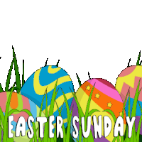 colorful easter eggs in the grass with the words easter sunday in white letters