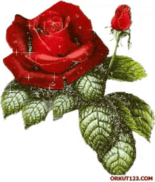 glitter rose red