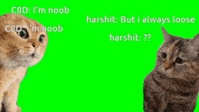 two cats are standing next to each other on a green screen and one of them is saying " i 'm noob "