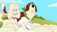 Housebroken Sheep GIF - Housebroken Sheep Sheepses GIFs
