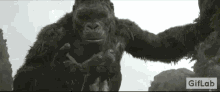 King Kong Kong Skull Island GIF