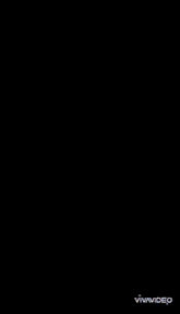 a purple background with the word vivavideo on the bottom