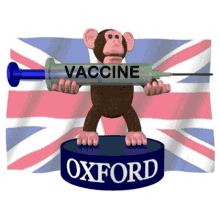 Oxford Vaccine Oxford Covid19vaccine GIF - Oxford Vaccine Oxford Covid19vaccine Covid Vaccine GIFs