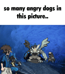 a picture of angry dogs in a cave with the caption " so many angry dogs in this picture "