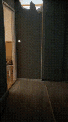 a dark hallway with a door open and a light shining through it