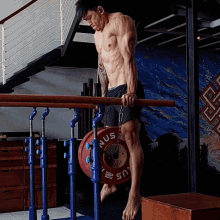 Streetlifting Weighted Dips GIF - Streetlifting Weighted Dips Weigthed Dip GIFs