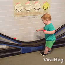 Boy Attempts To Catch The Ball Viralhog GIF - Boy Attempts To Catch The Ball Viralhog Boy Reaches For The Ball GIFs