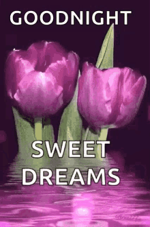 Sweet Dreams GIF - Sweet Dreams Water GIFs
