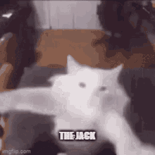 The Jack GIF - The Jack GIFs