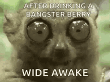 Wide Awake Cant Sleep GIF