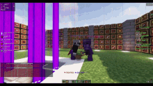 a screenshot of a minecraft game with a purple glowing pillar in the middle
