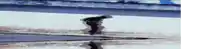 a person standing in a puddle of water with their reflection in the water